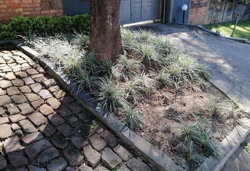 פנסיון Kaste Guesthouse Tzaneen