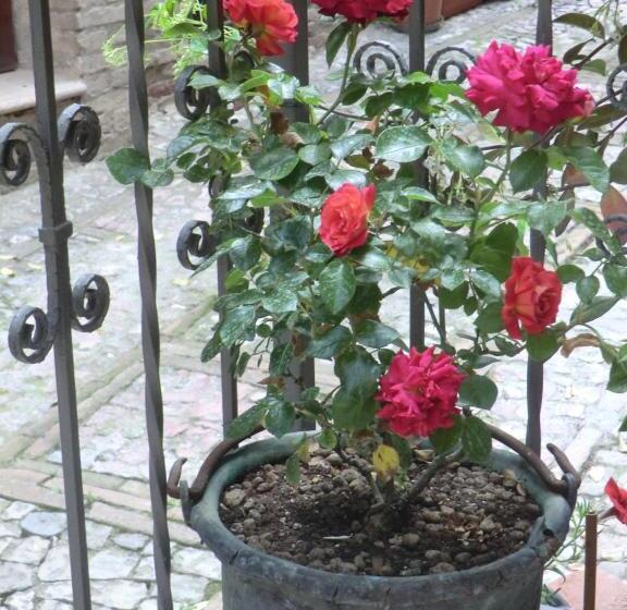 بنسيون La Corta Di Spello Camere