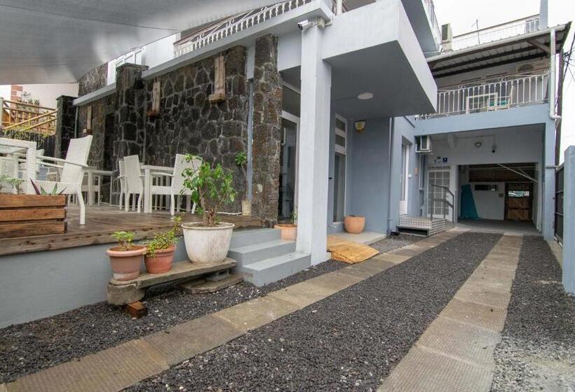 Pansiyon La Koquillishe