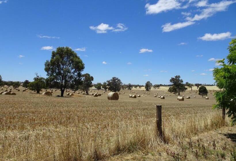 膳宿费 Meander Retreat   The Green Room