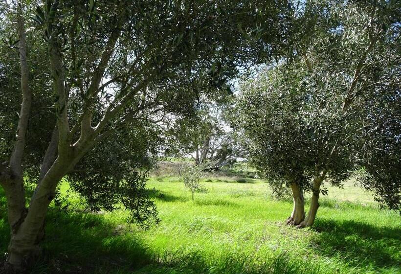 膳宿费 Meander Retreat   The Green Room