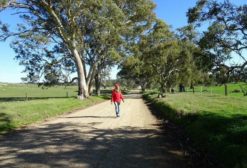 膳宿费 Meander Retreat   The Green Room