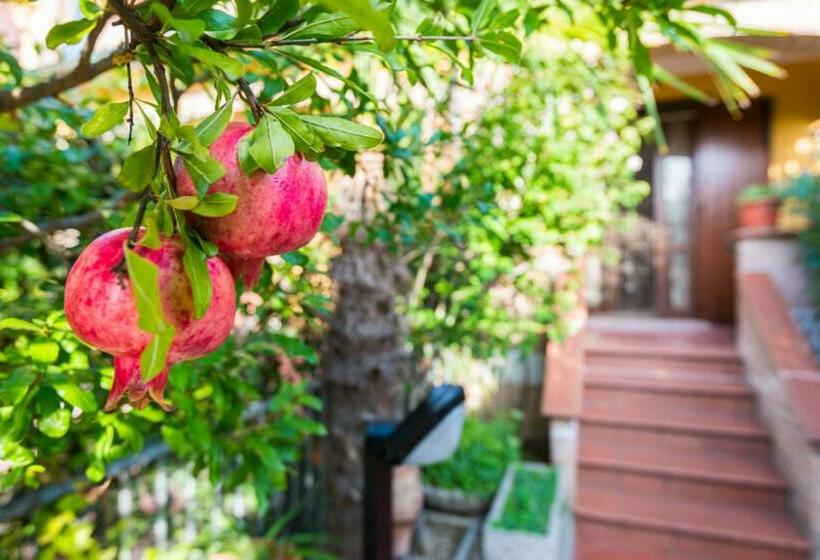 بنسيون Murgo S