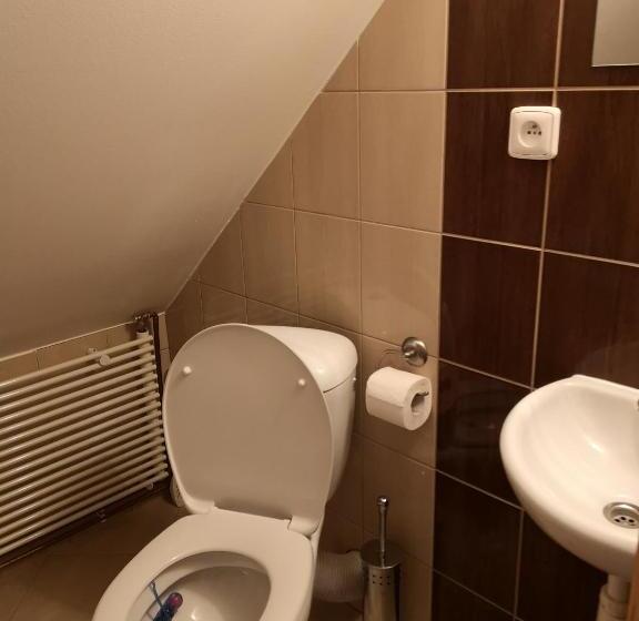 پانسیون Penzion 166   Herlíkovice