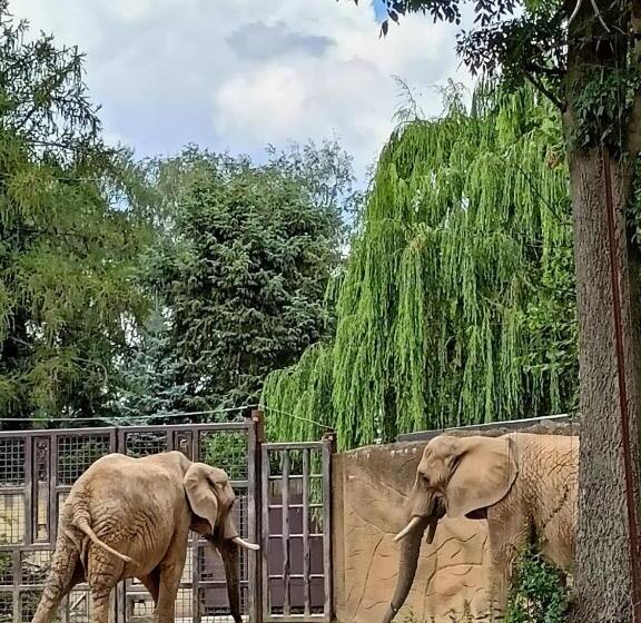 펜션 Penzion Petra