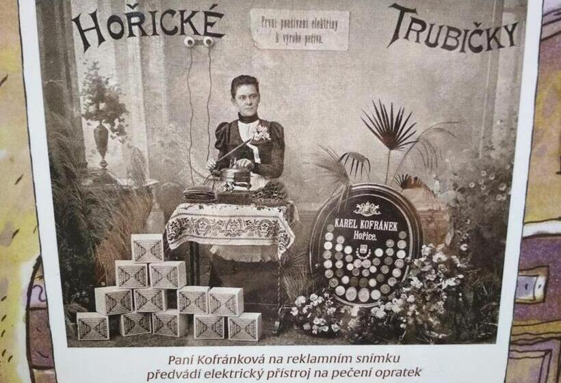 ペンション Penzion Petra