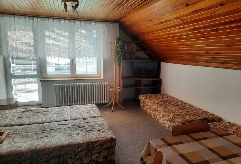 פנסיון Penzion Pod Paprskem