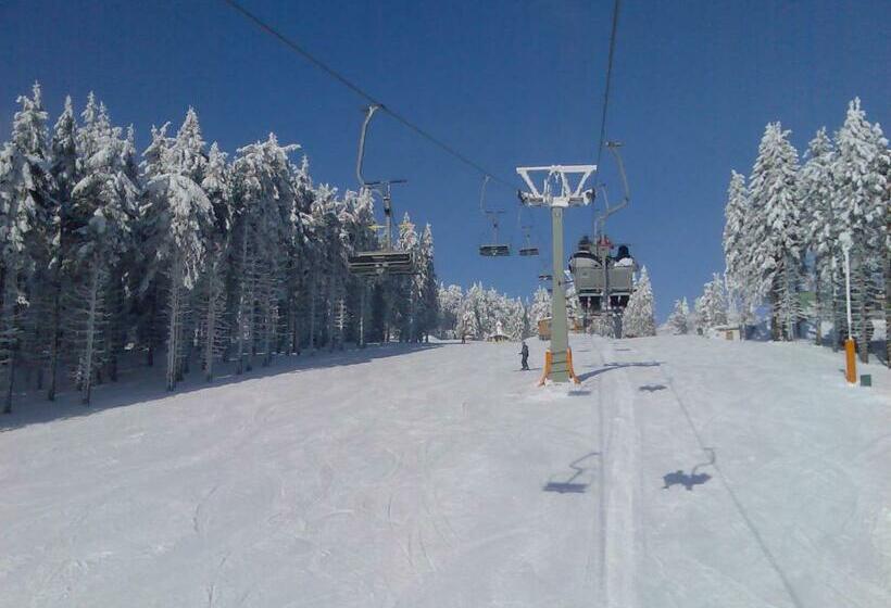 פנסיון Penzion Pod Paprskem