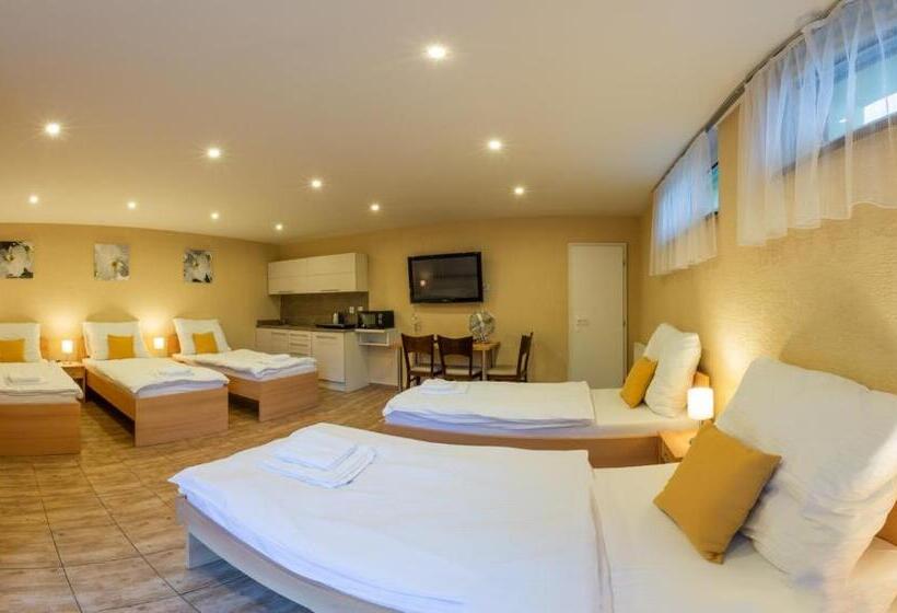 بنسيون Penzion Terezka