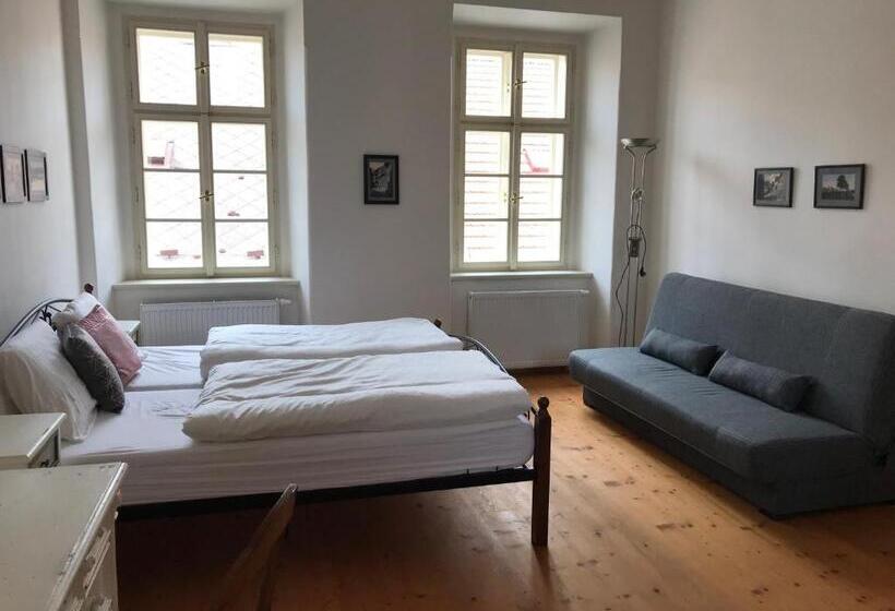 פנסיון Penzion U Synagogy