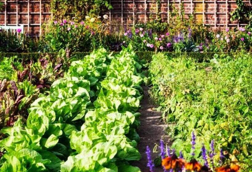 بنسيون Roulotte De Florette