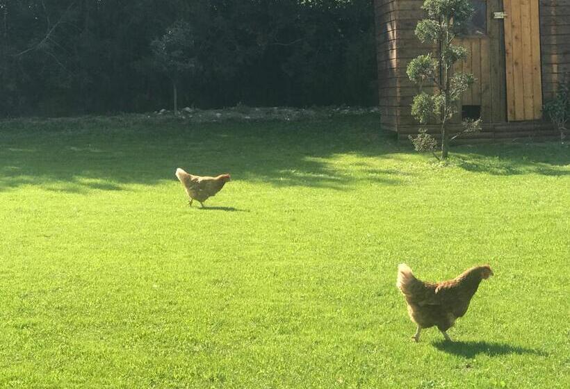 بنسيون Roulotte De Florette