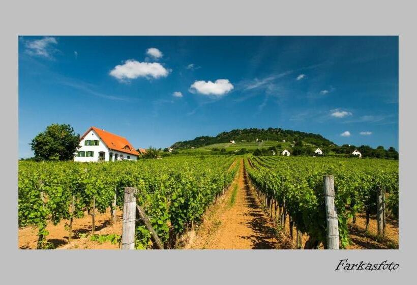 بنسيون Somló Kolonics Kúria