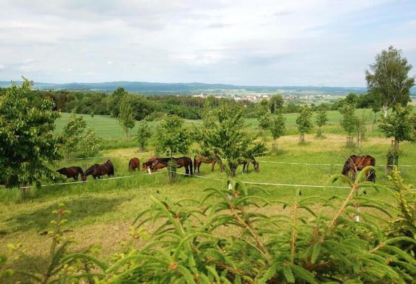 ペンション Ubytování Pod Haniperkem