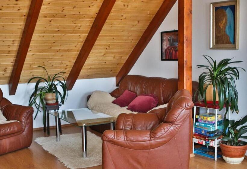 ペンション Ubytování Pod Haniperkem