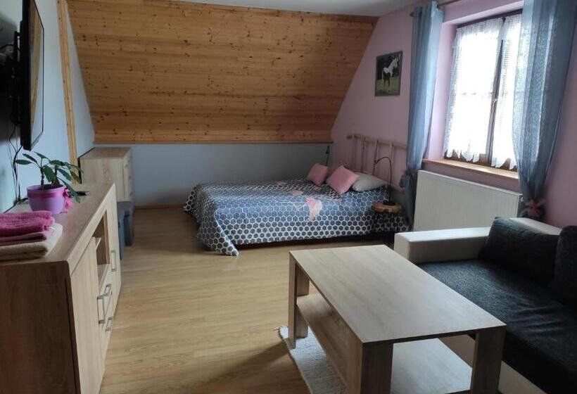 ペンション Ubytování Pod Haniperkem