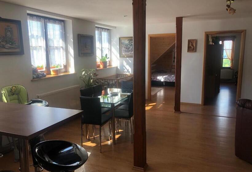 ペンション Ubytování Pod Haniperkem