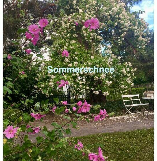 膳宿费 Villa Harmonie