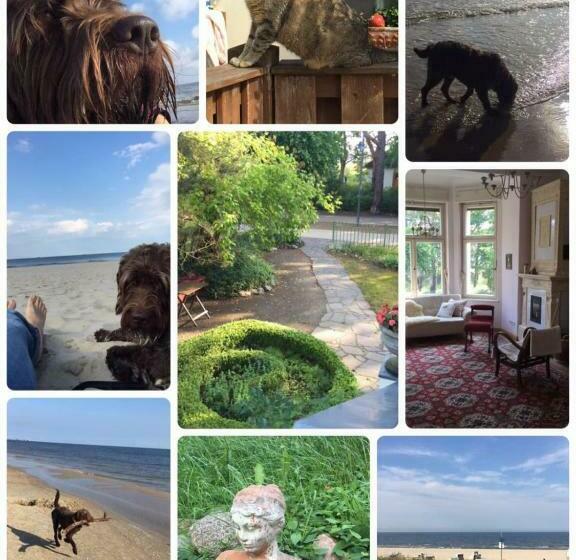 膳宿费 Villa Harmonie