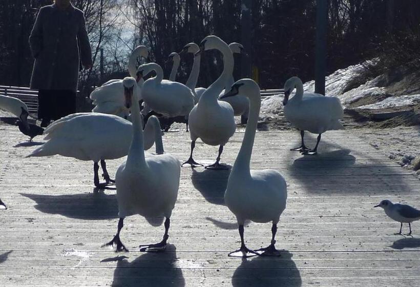 膳宿费 Villa Harmonie