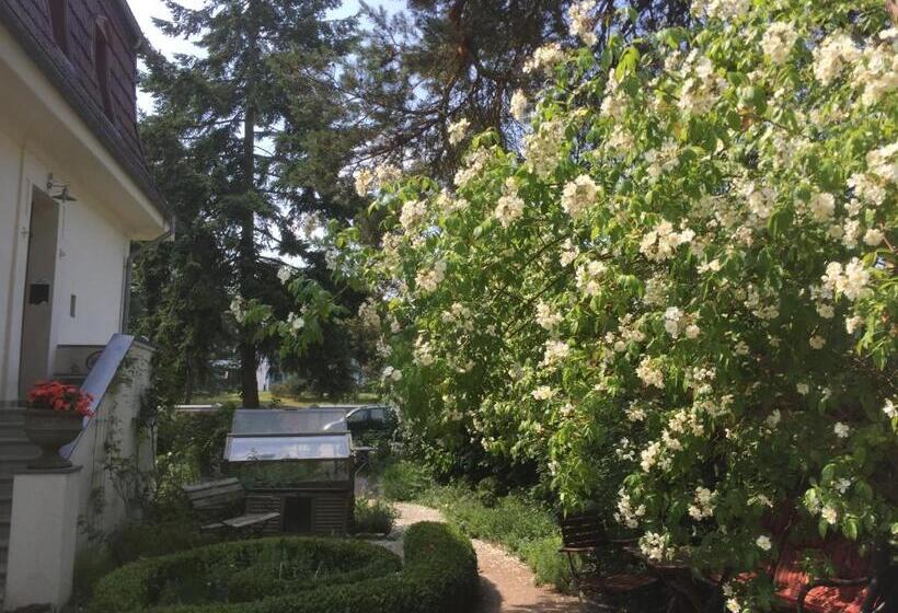 膳宿费 Villa Harmonie