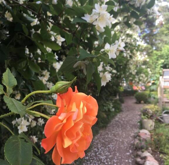 膳宿费 Villa Harmonie