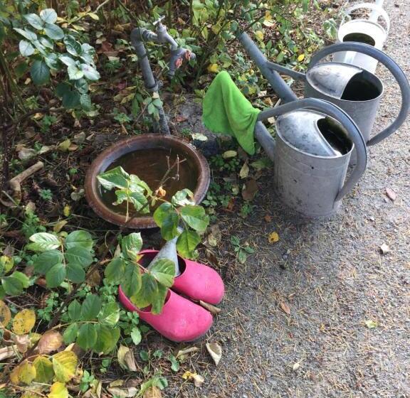 膳宿费 Villa Harmonie