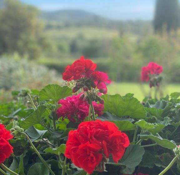 پانسیون Villa Porta A Colle