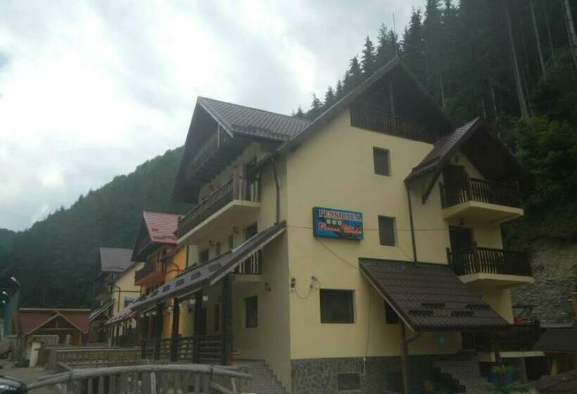 Pensiunea Poiana Uliului