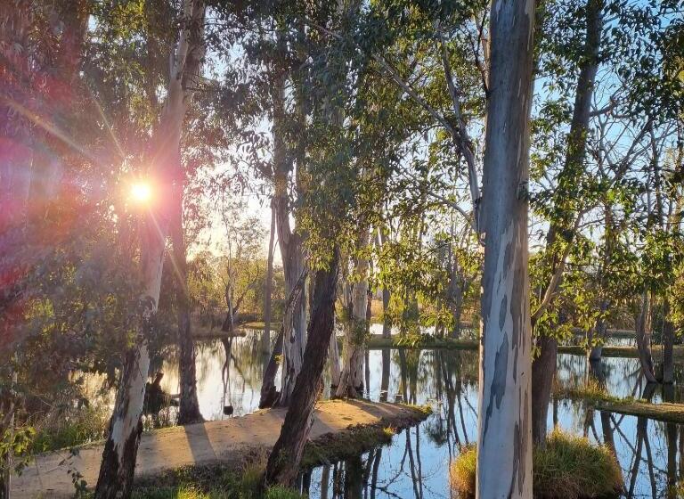 Курорт Bass Lake Country Lodge