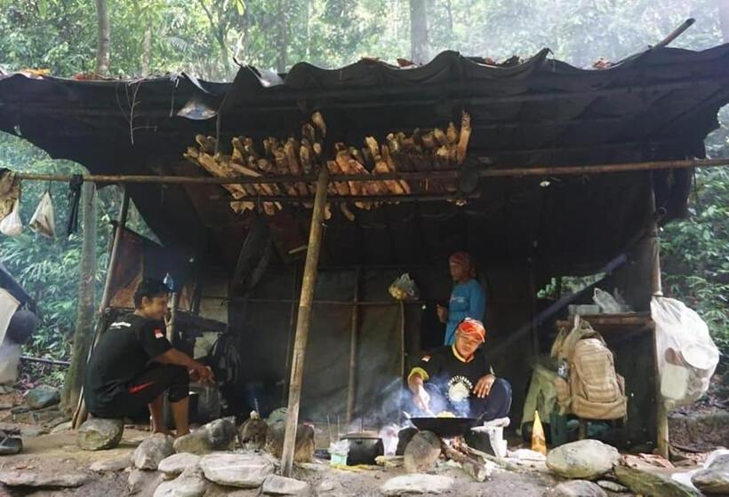 Курорт Gino S Place Guest House & Jungle Trekking