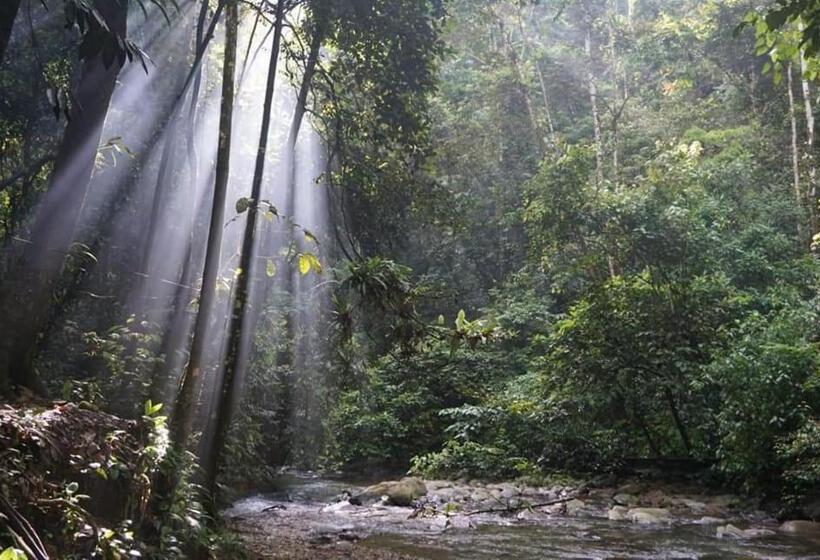 استراحتگاه Gino S Place   Guest House & Jungle Trekking