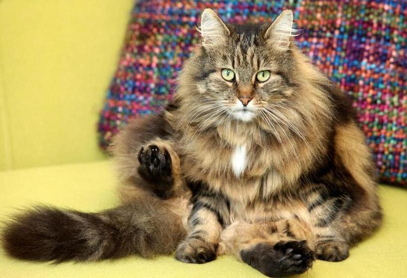 Tawburn House Boutique B & B