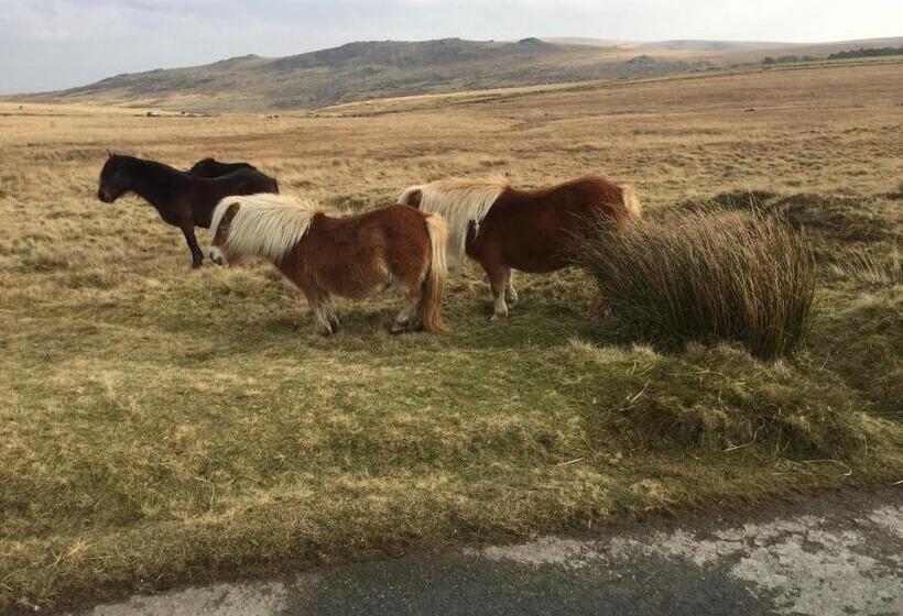 Tawburn House Boutique B & B