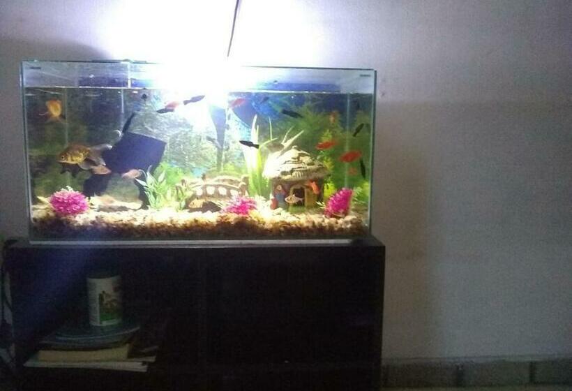 ユースホステル Pousada Nery