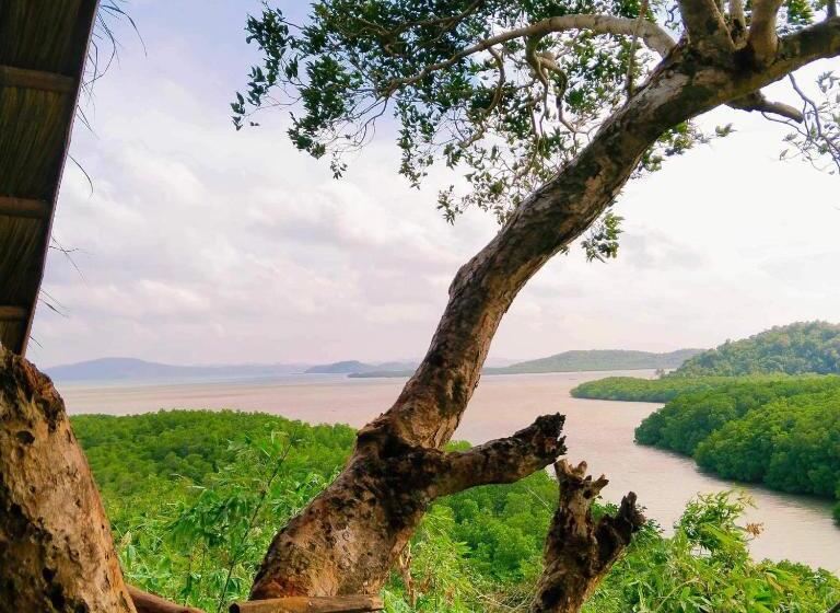 هاستل Sanctuaria Treehouses Busuanga