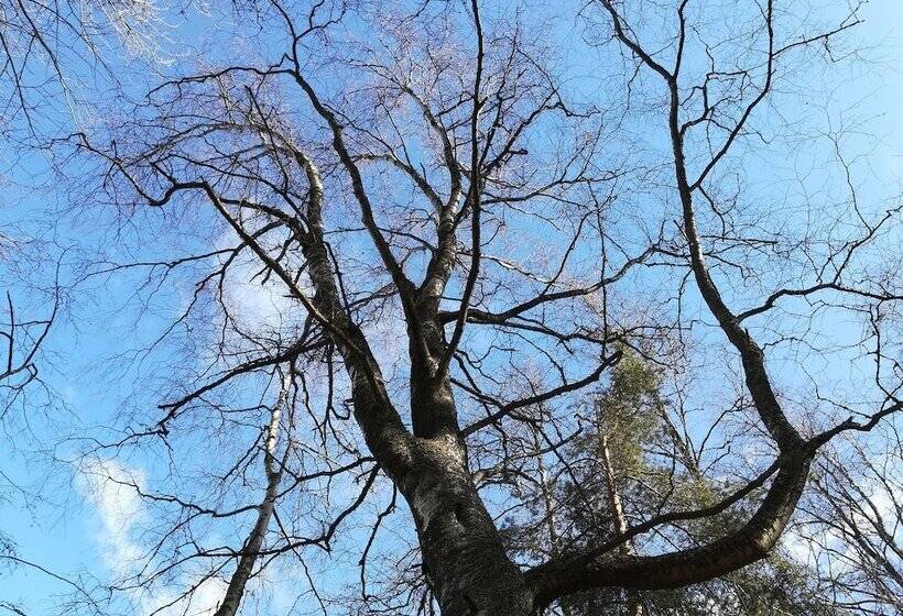 הוסטל Savonlinna Rentals