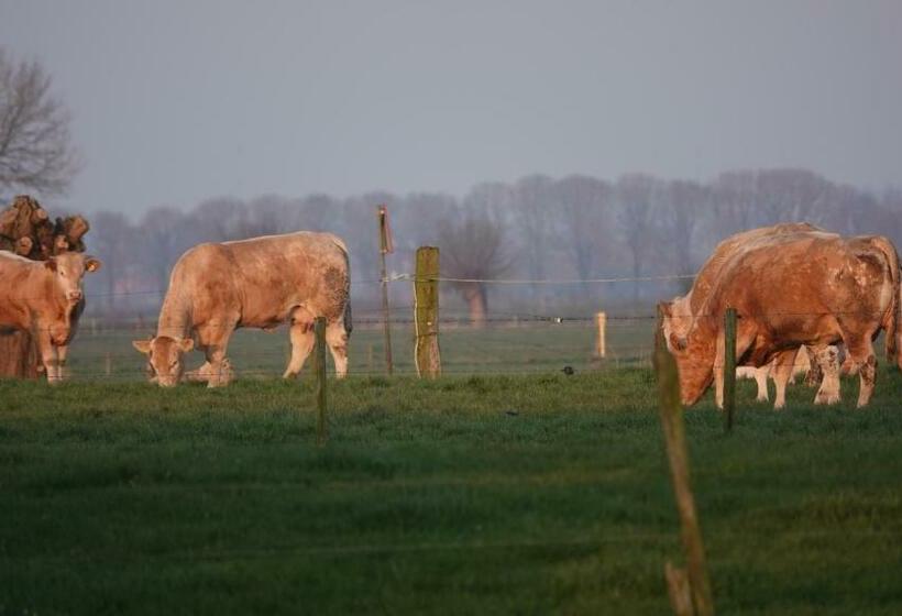 B&b Bij Bronckhorst