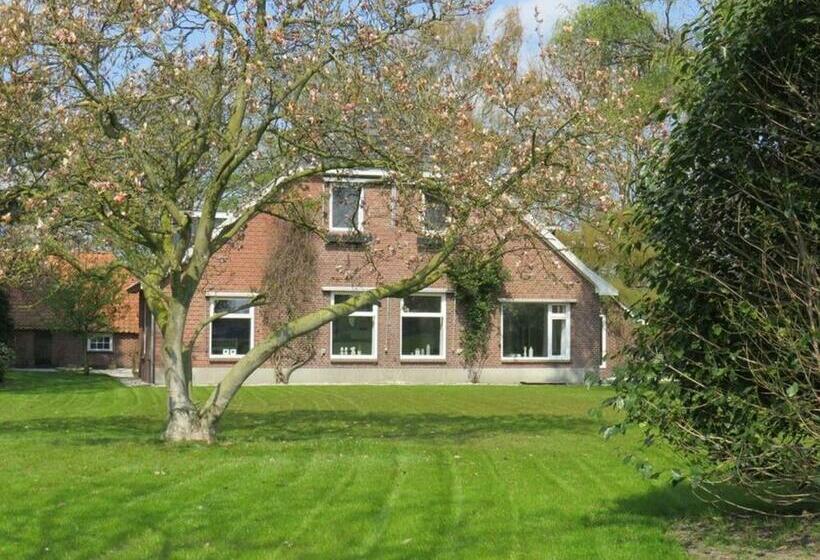 B&b Borgersteeg