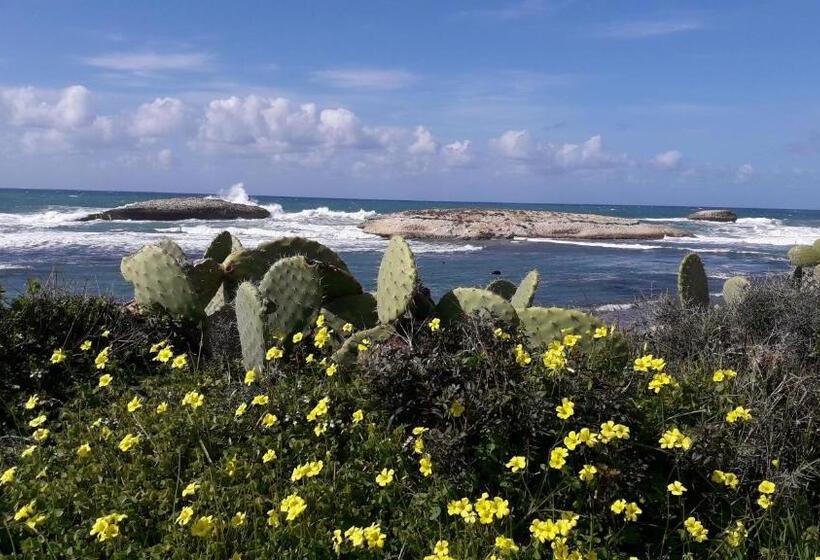 B&b Le Tre Chiocciole