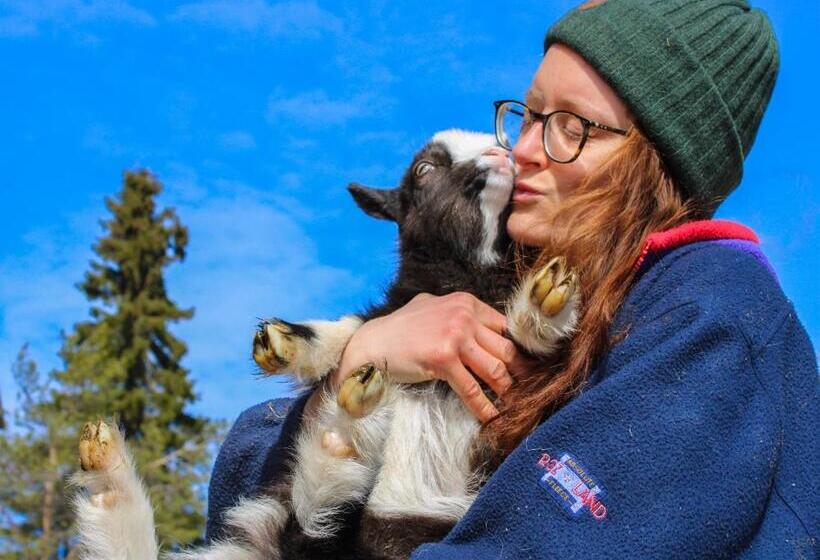住宿加早餐  Ajakka