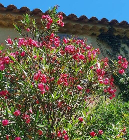 צימר Aux Berges Du Pont Du Gard