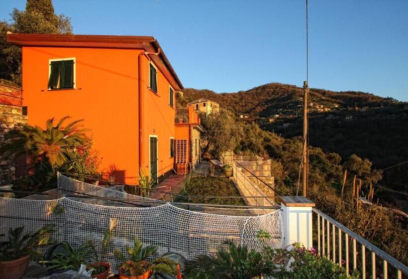 Bed and Breakfast Il Cuoco Pescatore, Ittiturismo Lecardònaie Du Pescòu