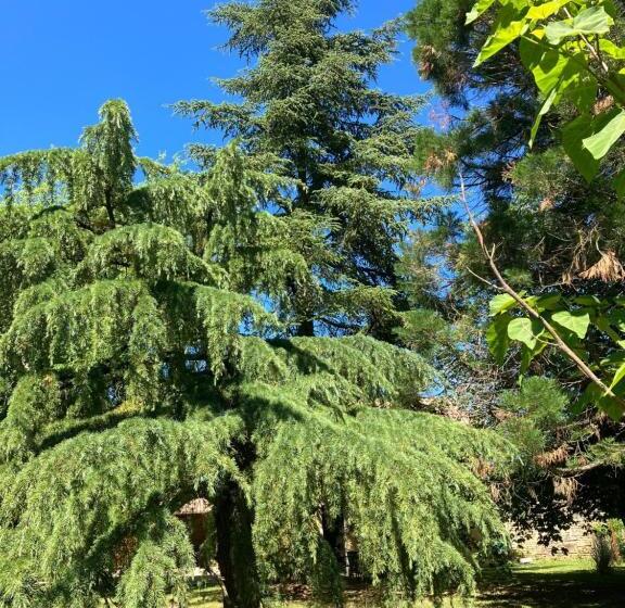 住宿加早餐  Le Clos De Quintaine Chambres D Hôtes