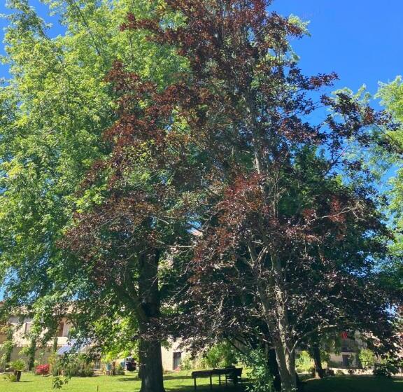Bed and Breakfast Le Clos De Quintaine Chambres D Hôtes