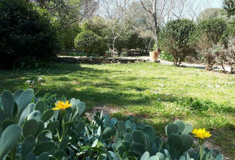 צימר Aux Berges Du Pont Du Gard
