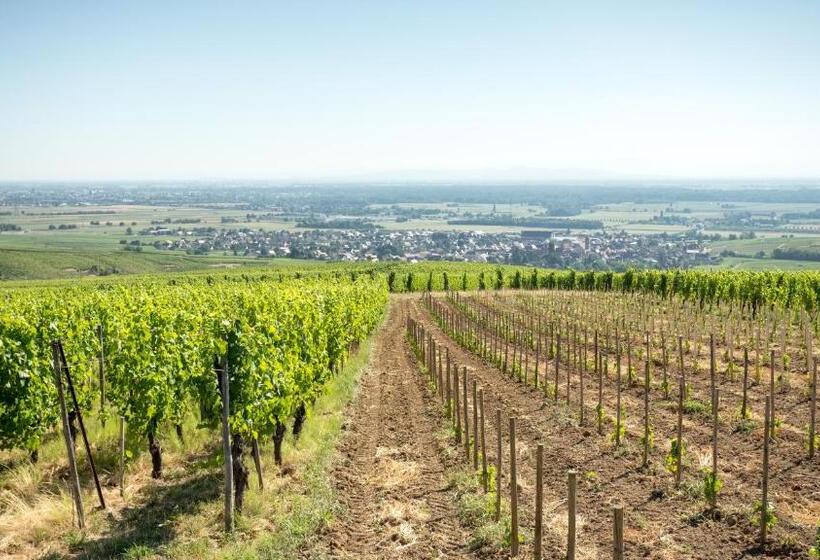 ベッドアンドブレックファースト Les Chambres Du Domaine