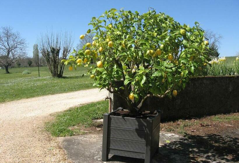 민박 Maison De Famille