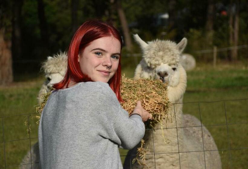 צימר Mijen S Manor