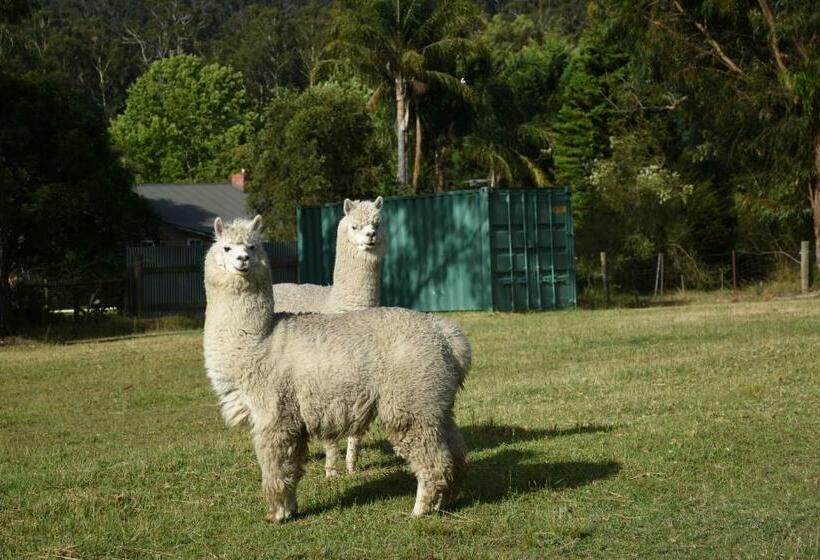 צימר Mijen S Manor